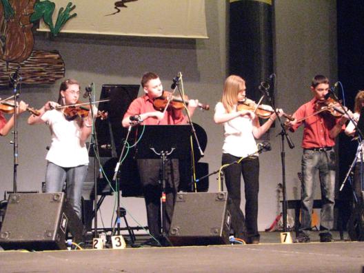 The Possum Holler Fiddlers